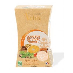 Infusion Bio Douceur de Vivre Ayurveda Basilic-Réglisse-Orange-Epices aux Huiles Essentielles 20 sachets
